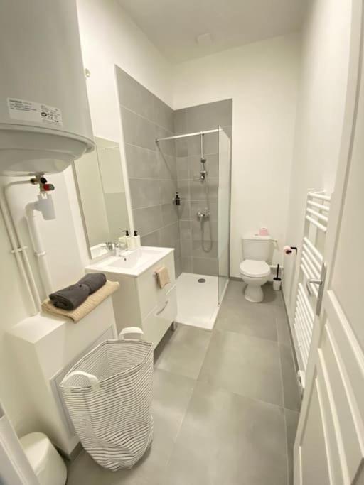 Appartement Coup De Coeur En Centre-Ville Орлеан Экстерьер фото